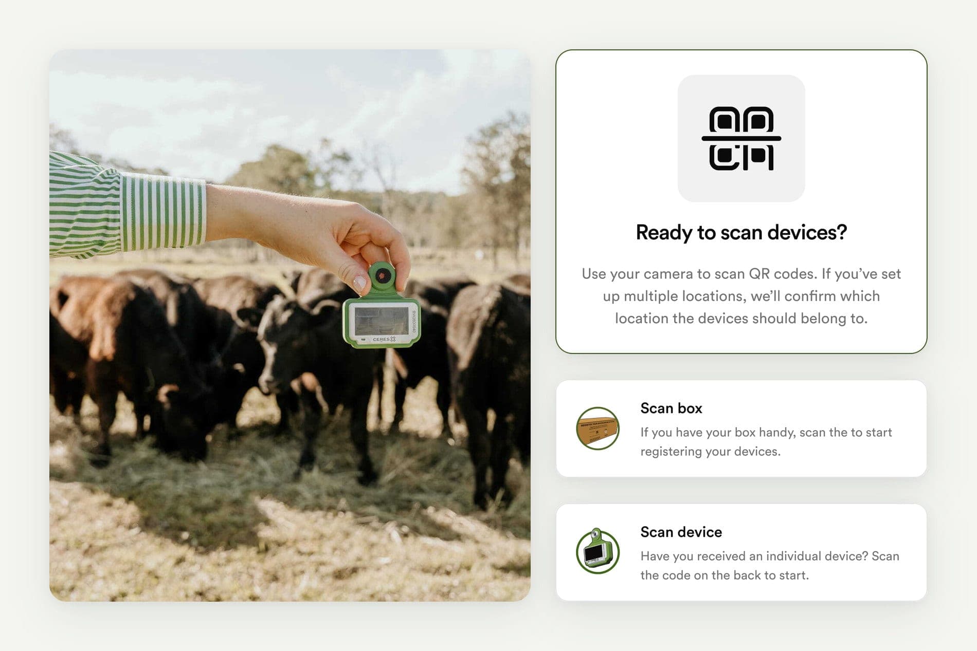 Hand holding a livestock tag among cattle, next to app screens for scanning devices